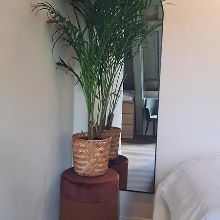 Stadsklooster Dordt Hotel&hostel * Дордрехт