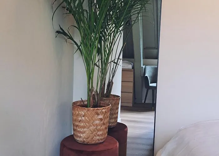 Stadsklooster Dordt Hotel&hostel * Dordrecht